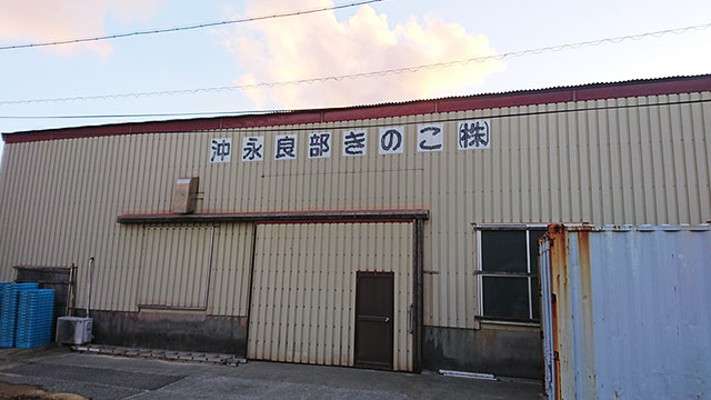 沖永良部きのこ株式会社 外観