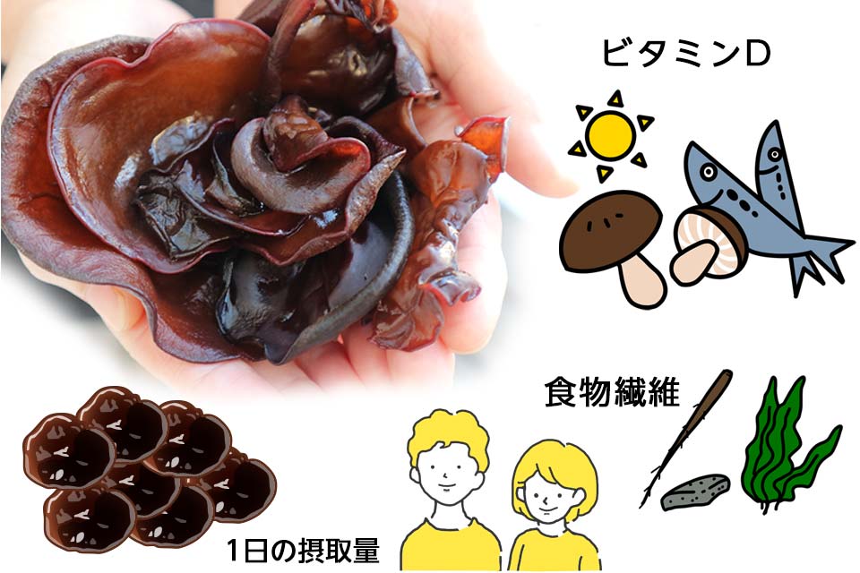 きくらげ国産 栄養